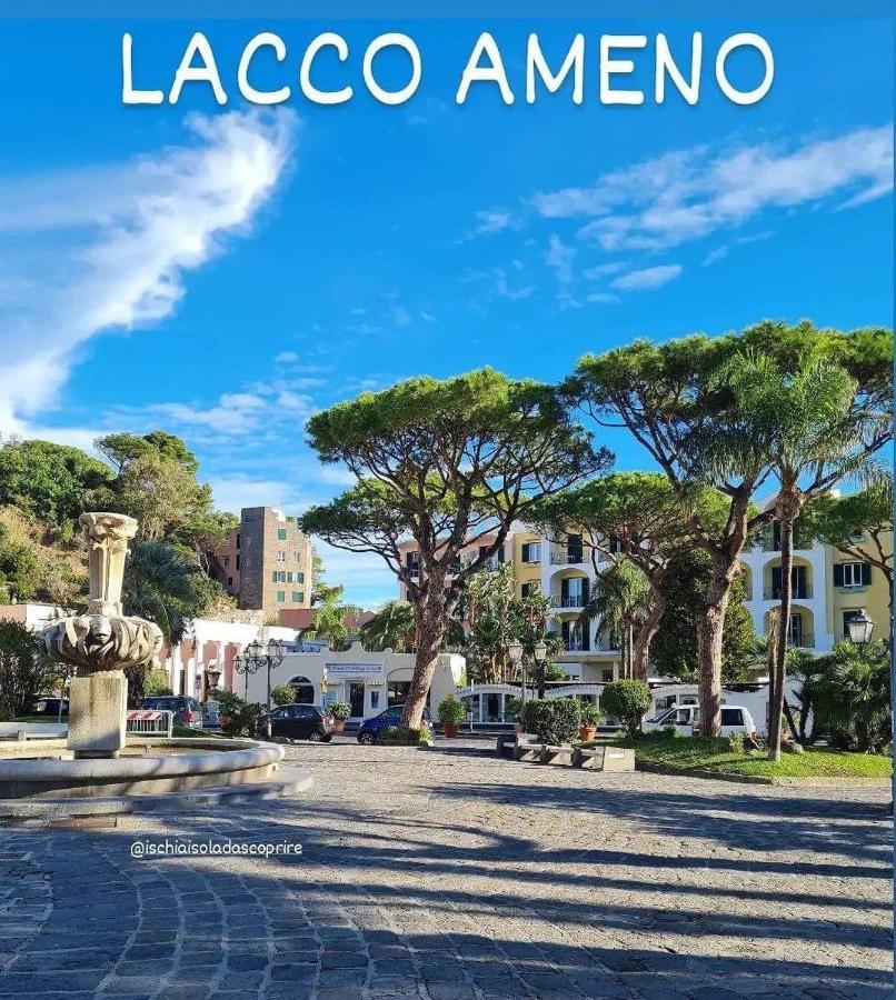 Casa Neval Lacco Ameno Daire Lacco Ameno  Dış mekan fotoğraf