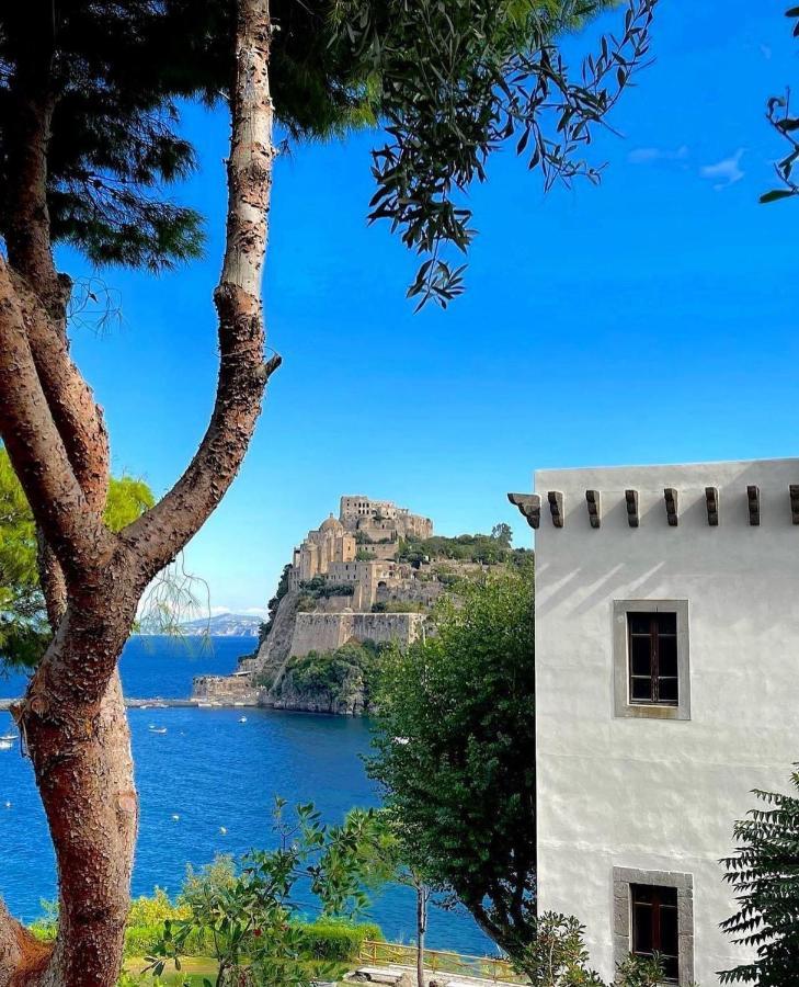 Casa Neval Lacco Ameno Daire Lacco Ameno  Dış mekan fotoğraf