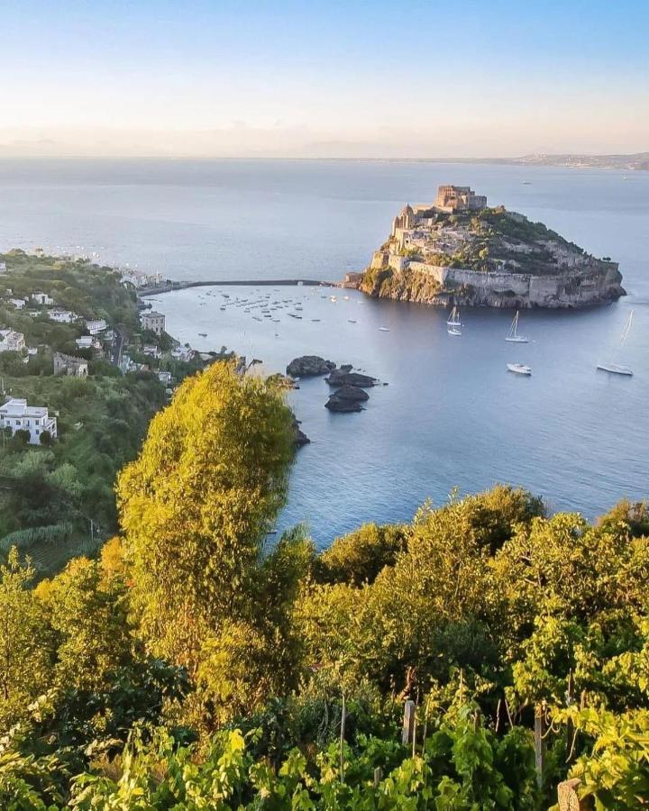 Casa Neval Lacco Ameno Daire Lacco Ameno  Dış mekan fotoğraf