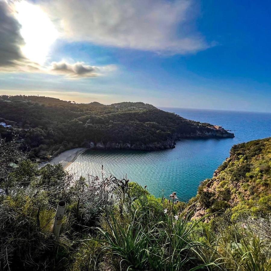 Casa Neval Lacco Ameno Daire Lacco Ameno  Dış mekan fotoğraf