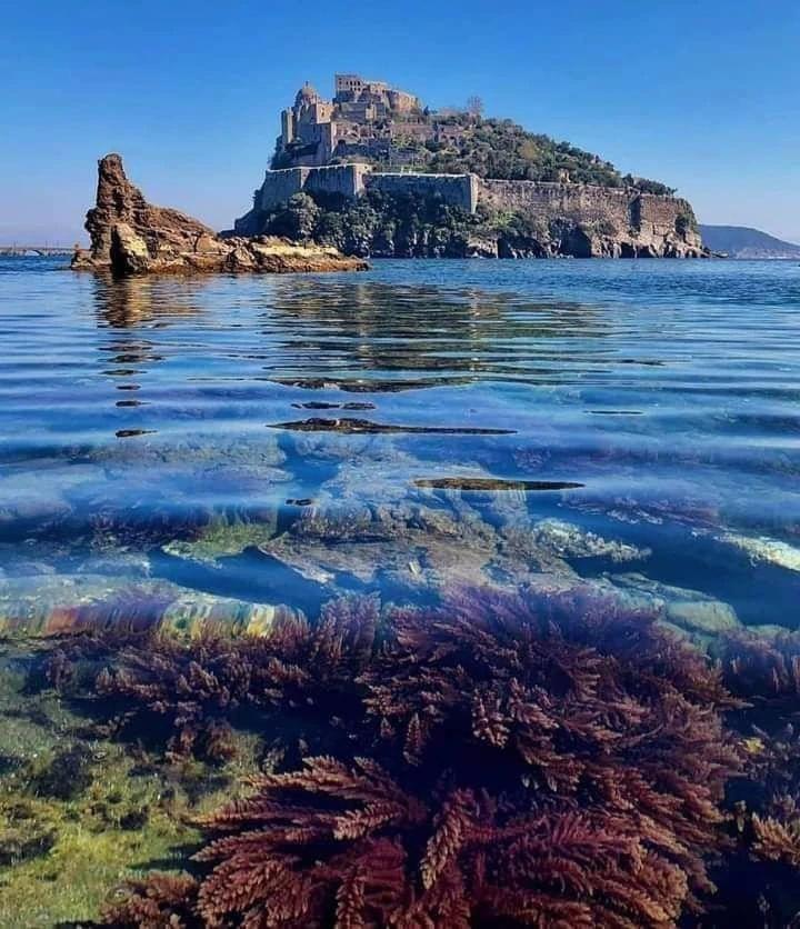 Casa Neval Lacco Ameno Daire Lacco Ameno  Dış mekan fotoğraf