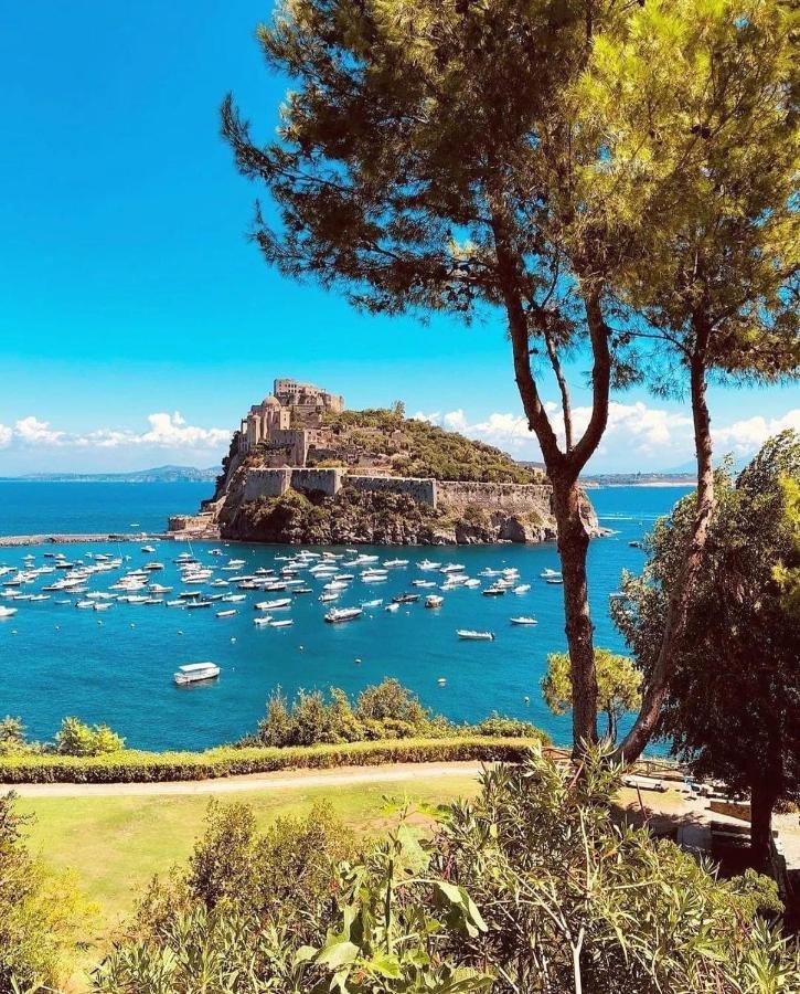 Casa Neval Lacco Ameno Daire Lacco Ameno  Dış mekan fotoğraf